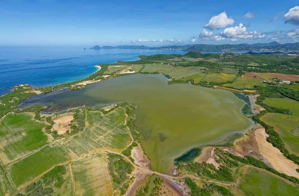 découvrez la côte fleurie, ses paysages magnifiques et ses nombreuses activités : plages, randonnées, visites culturelles et gastronomie pour tous les goûts.