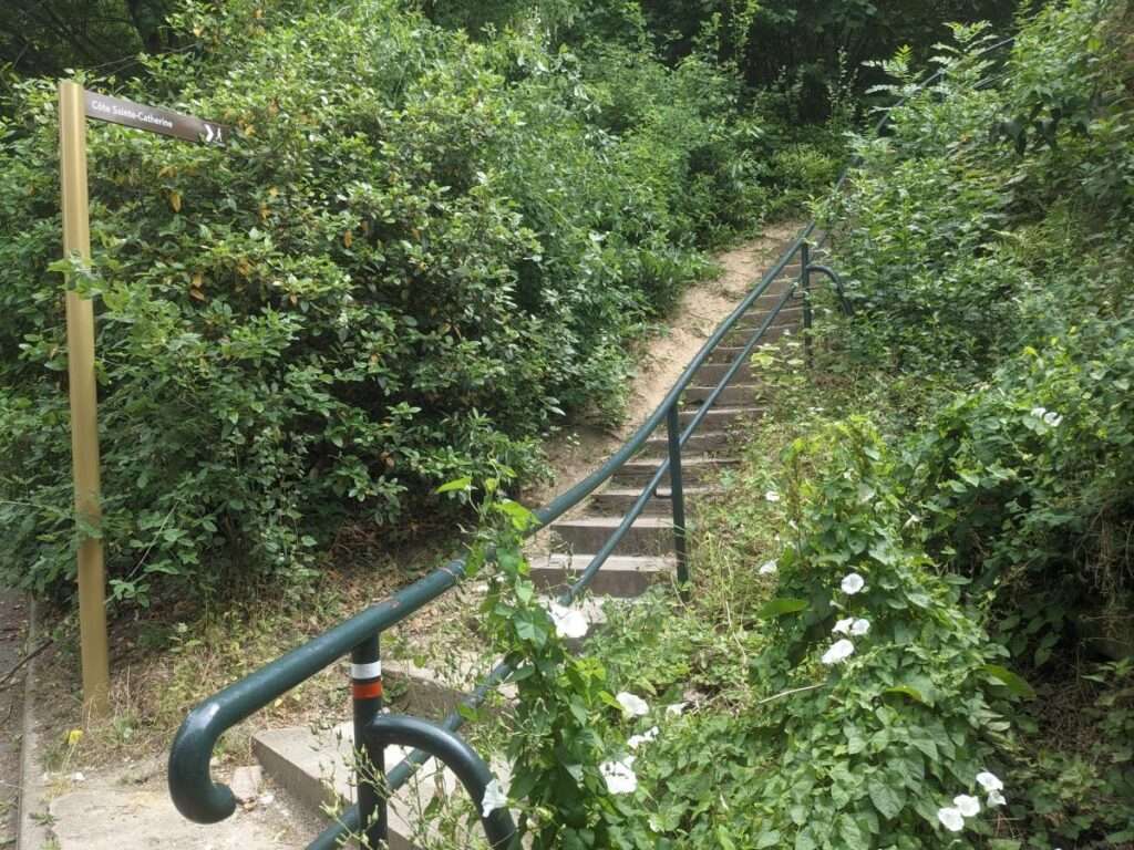 découvrez pam normandie à rouen, votre expert en services personnalisés pour répondre à tous vos besoins avec qualité et proximité.