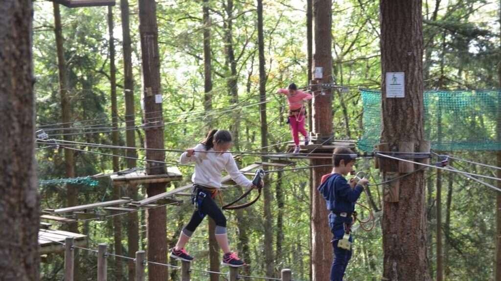 découvrez le parcours accrobranche orne aventure en normandie, une expérience unique pour toute la famille alliant nature, sensations et aventure en plein cœur de la forêt.