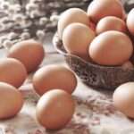 Que veut dire dcr sur les œufs et comment interpréter cette information