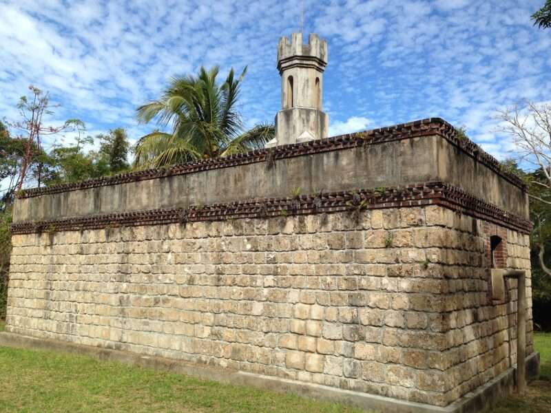 découvrez tout ce qu'il faut savoir pour visiter l’île des pins en 2026 : conseils, attractions incontournables, hébergements et activités pour un séjour inoubliable.