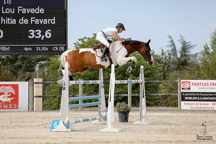 découvrez notre programme sport-étude équitation en normandie, alliant excellence sportive et réussite scolaire pour les passionnés de cheval.