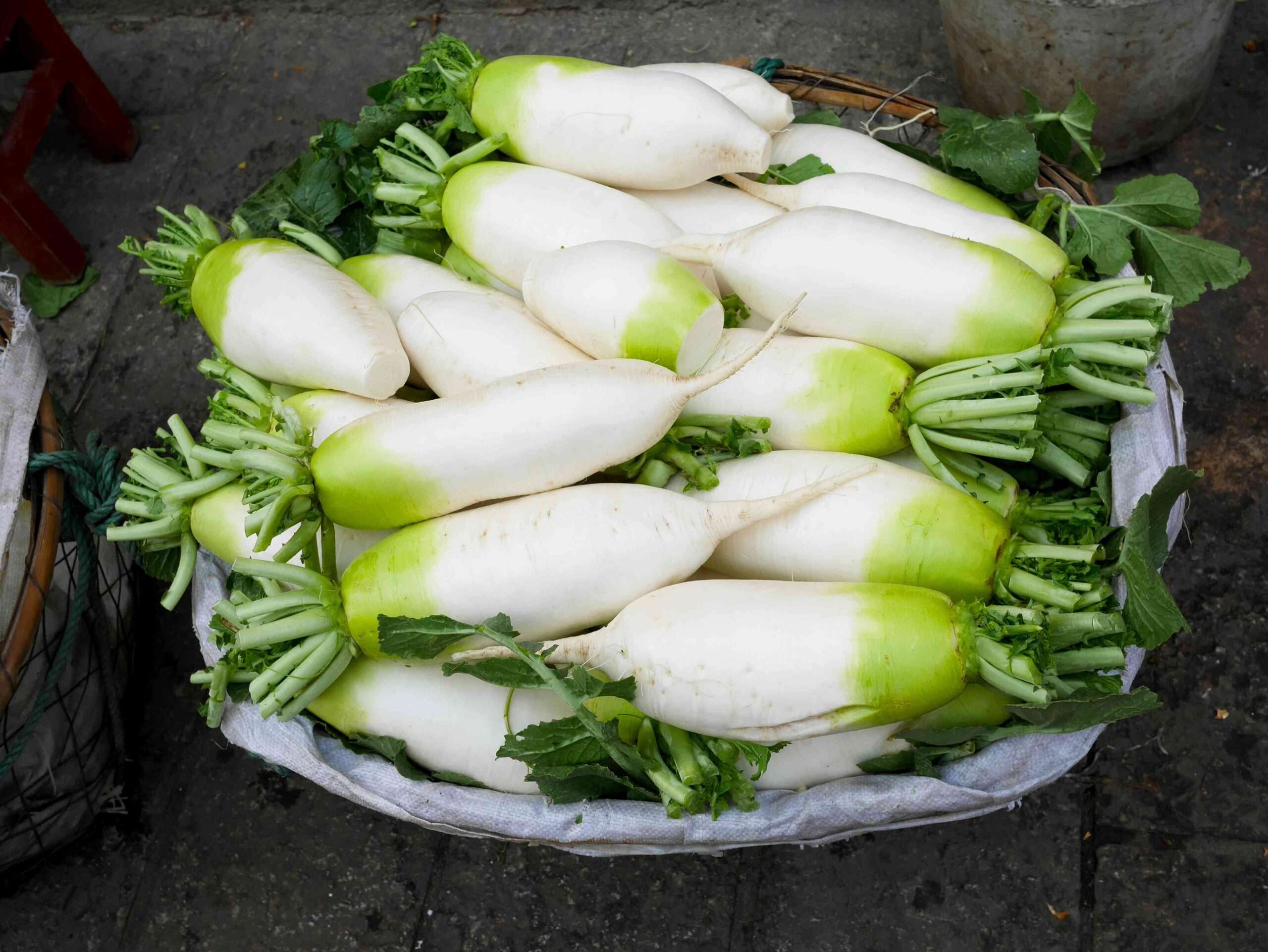 découvrez le daikon, un radis blanc asiatique croquant et savoureux, idéal pour vos salades, soupes et plats traditionnels.